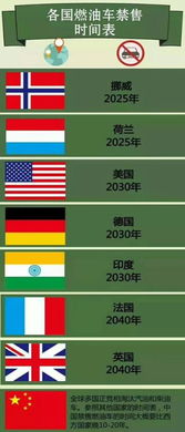 網約車破解出行難題，新能源車憑借網絡推廣成市場新寵